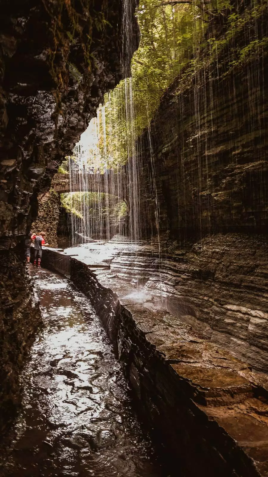 Watkins Glenn - The View Exceeded the promo material